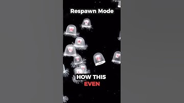 😳 4 Animals Scientists STILL Can’t Explain #facts #shorts #animals