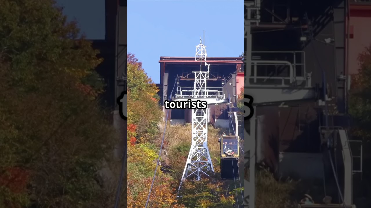 Mount Fuji's Hidden Viewing Spots