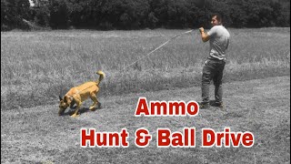Ammo Hunt drive and Ball(prey) drive test.
