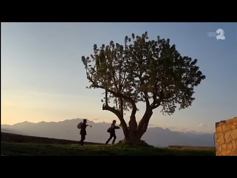 Image du reportage Nus et culottés-Corsica (jwfwchtsxgfs)
