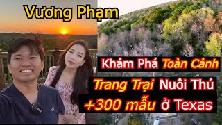 Vương Phạm Lên Nóc Nhà Khám Phá Toàn Cảnh Trang Trại Nuôi Thú 300 Mẫu Ở Texas, Cuộc Sống Mỹ