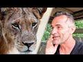 Incredible Wild LION Encounter with Kevin Richardson | The Lion Whisperer