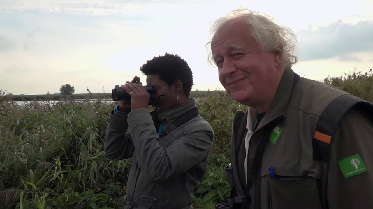 Lauwersmeer is de snackbar voor trekvogels | TV | Vroege Vogels