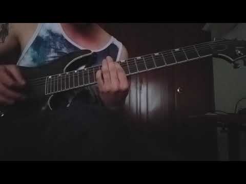 Infant Annihilator - 'SWINAECOLOGIST' Full Guitar Cover