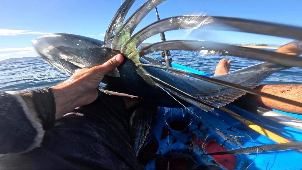 Pesca de gallo gigante desde kayak en baja california sur 