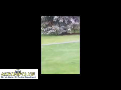 Oh bother: Large black bear spotted in Akron Tuesday morning (video)