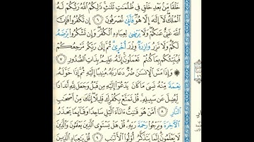 القرآن الكريم صفحة 459 برواية الليث أبي الحارث عن الكسائي   القارئ عبد الرشيد صوفي
