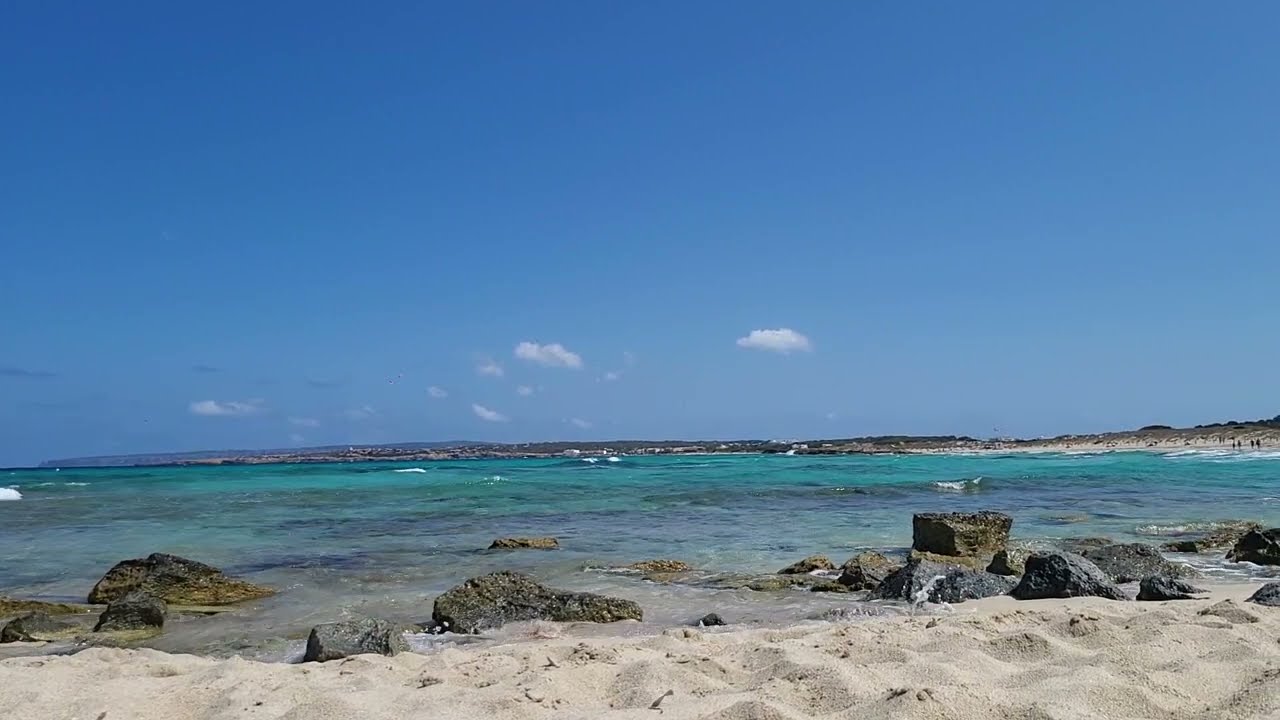 PALO SANTO RINARTY IN IBIZA 2023