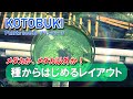 【めだか飼育】種から育てるレイアウト「プランツシード」初挑戦！