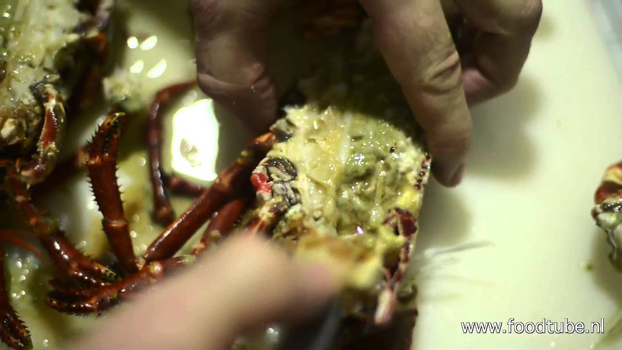 De oosterscheldekreeft van Jannis Brevet