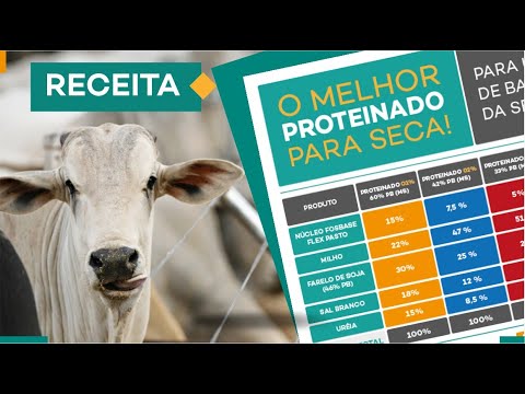 CONHEÇA 3 FÓRMULAS DE PROTEÍNADOS QUE DÃO RESULTADOS NA SECA.