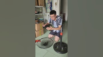 Cách lắp ráp quạt cây trong 1 phút
