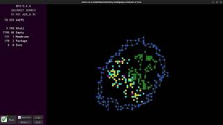 Movable Feast Machine demo: building a 2-layer membrane using multiple programmable agents (pt. 2)