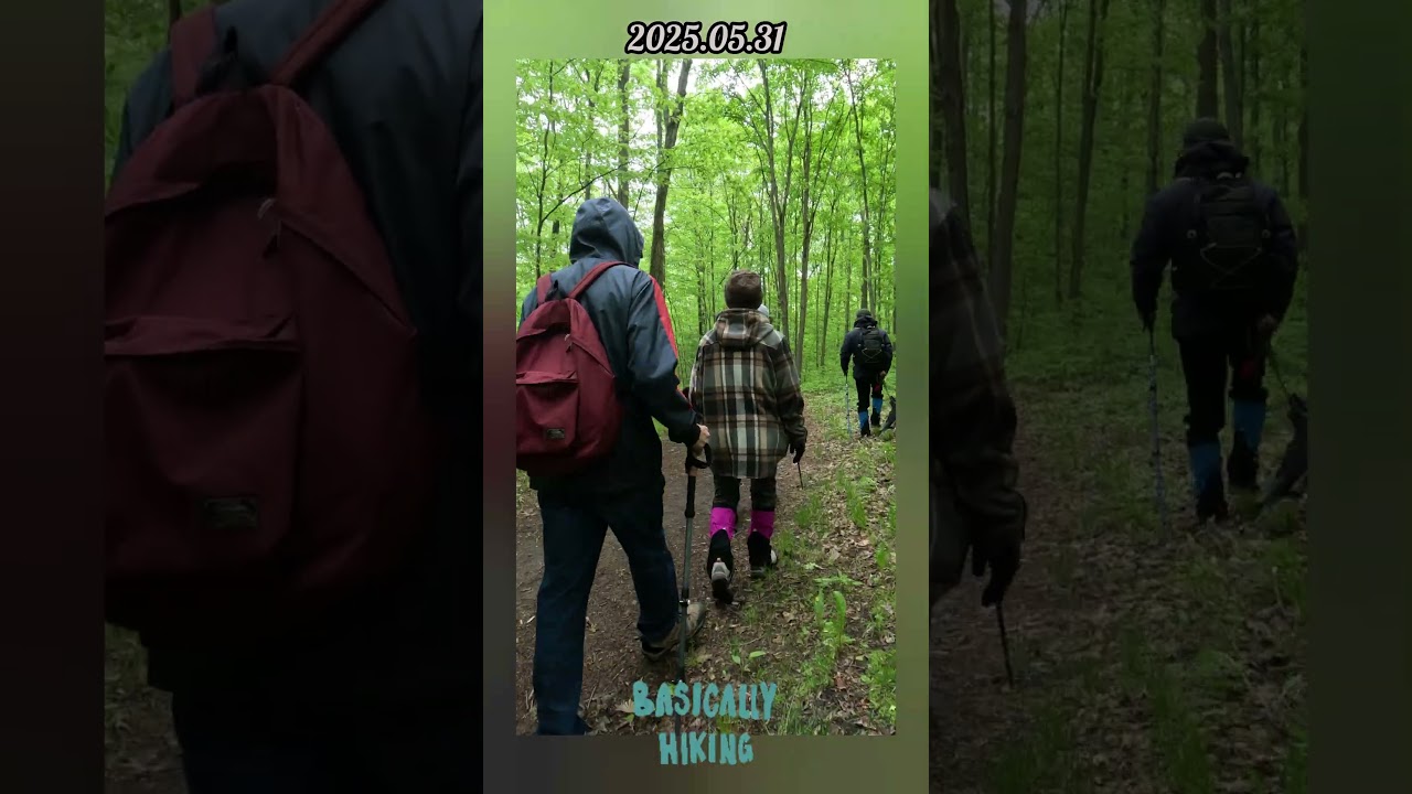 Hollidge Tract Accessible Trail 