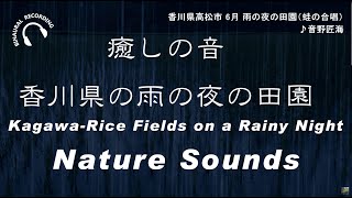 【癒しの音】香川県高松市 6月の雨の夜の田んぼ/Kagawa Nature Sound【ASMR・自然音・環境音】