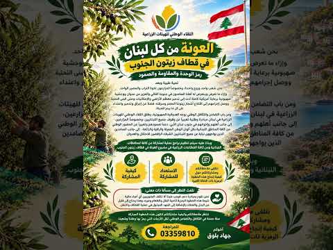 التحضيرات لمبادرة «العونة» لقطاف موسم الزيتون في الجنوب، في حوار مع جهاد بلوق
