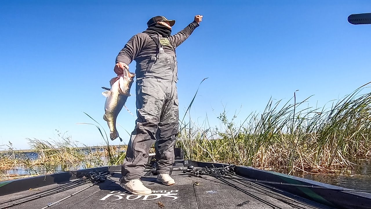 Strickland Blasts Massive 31-pound Limit of Bass at Harris Chain 