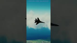 Su-27 Flanker Radical Aerobatic Flight 🌪️✨ #Dcs #Shorts