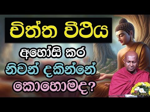 චිත්ත වීථිය අහෝසි කර නිවන් දකින්නේ කොහොමද?838පූජ්‍ය තපෝවනයේ අරියධජ හිමි
