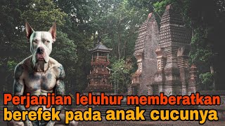 Download Lagu Perjanjian Leluhur Berefek Pada Anak Cucunya  MP3 Download Lagu Perjanjian Leluhur Berefek Pada Anak Cucunya  MP3
