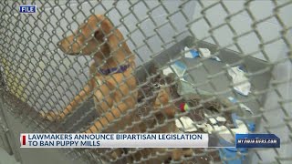 Lawmakers announce bipartisan legislation to ban puppy mills