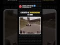 Cuando NO HABÍA ni UNA ESCAPATORIA #nürburgring #f1  #carsofinstagram #motor #engine #carlover