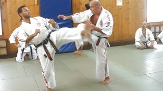 видео: Подсечка. часть2 - подготовка, связки, наработка в кумитэ картинка: Подсечка. часть2 - подготовка, связки, наработка в кумитэ