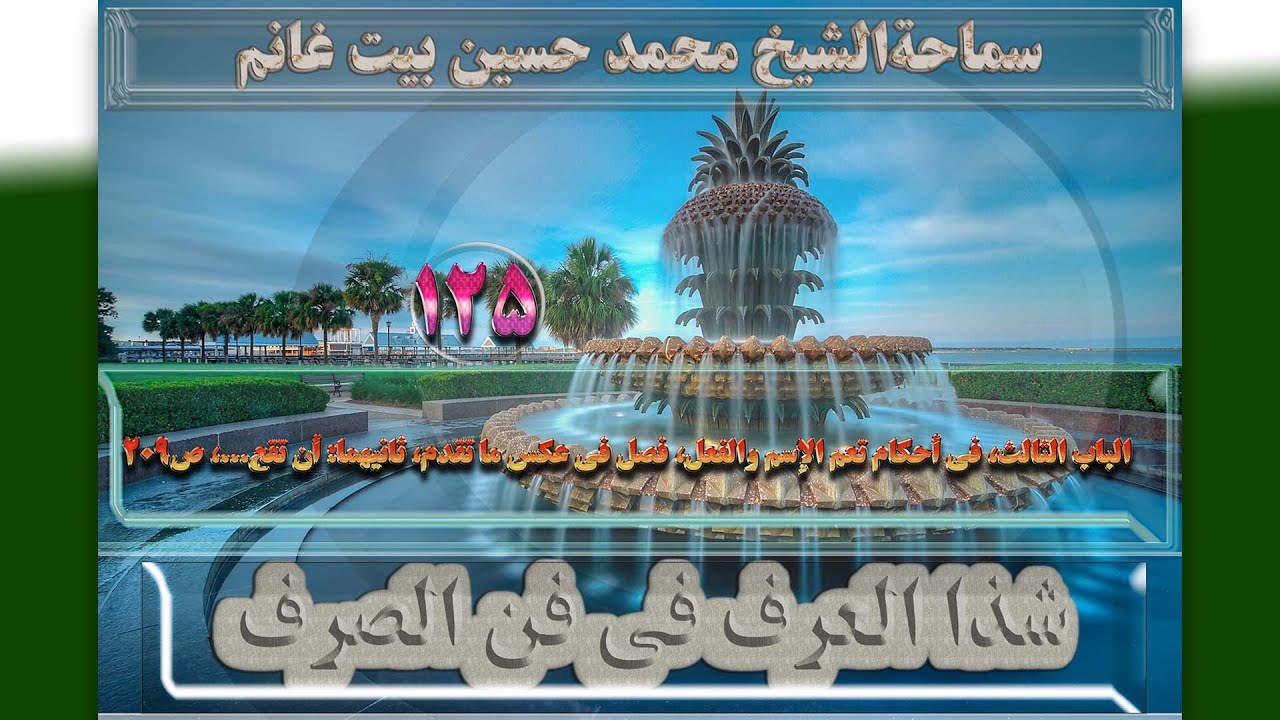 125 الباب الثالث،فی أحکام تعم الإسم والفعل،ثانیهما:أن تقع.،ص209-الأستاذ:سماحةالشیخ محمدحسین بیت غانم