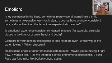 Schwitzgebel on the Unreliability of Introspection