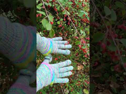 Бірюзово-рожево-жовті в'язані пальчатки зі знімними пальцями, видео 1