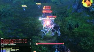 FFXIV - Boar Hides (Hardcore)