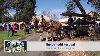 Daffodil Festival in Junction City | Eugene, Cascades & Coast