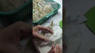 "Seputar sarang burung walet"#fyp#petaniwalet#shortvideo                 #viralvideo#Seluruhdunia