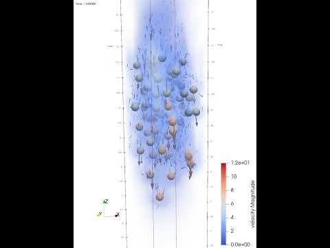 Sedimentation of 64 particles using resolved CFD-DEM