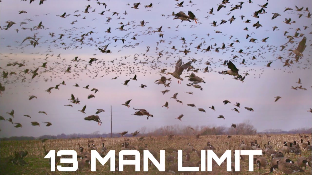 insane-13-man-limit-kansas-goose-hunt-96-birds-youtube