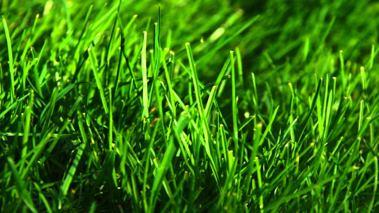 Music of Yoga - Hare Krishna