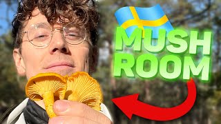 The Annual MUSHROOM Forage - Sp4zie IRL