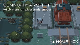 POV: You're Exploring The Rainy Sinnoh Marshlands | Nostalgic Pokemon Music With Ambience