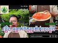 Heart's chain Trap EP07 រឿង អន្ទាក់ចិត្តច្រវ៉ាក់បេះដូង ភាគទី០៧