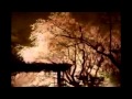 Miniature de la vidéo de la chanson Kampai
