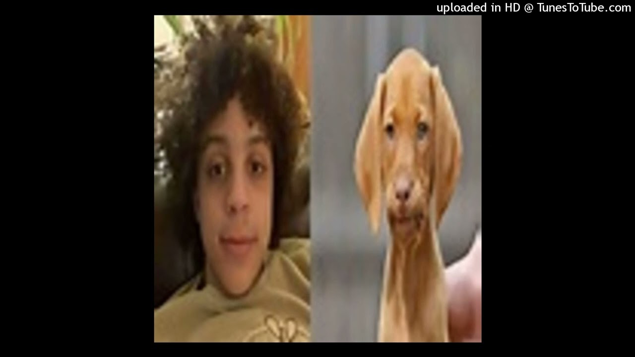 *free* xaviersobased x ksuuvi x 1c34 type beat