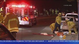 Celebrity Woman Killed In North Hills Hit-And-Run Net Worth