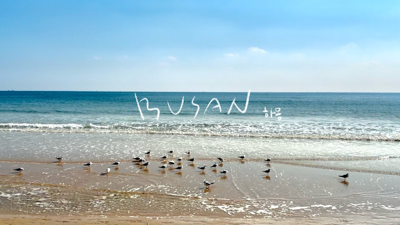 [VLOG] ✈️ 여행 브이로그 | 오랜만에 부산