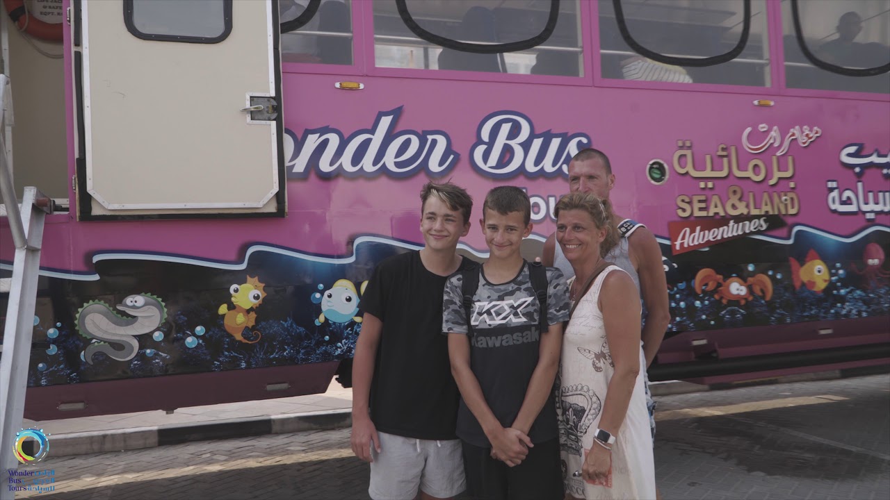 Wonder Bus Tours