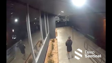 STOPPED by Deep Sentinel #42: Live Security Guards Fighting Crime