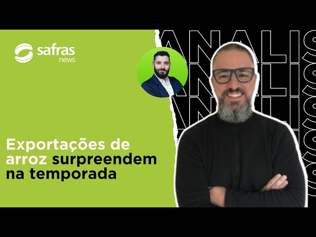 Exportações brasileiras de arroz surpreendem, mas ainda aquém do necessário
