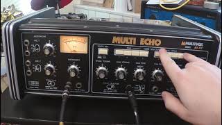 Multivox Multi Echo (Mx 312) demo