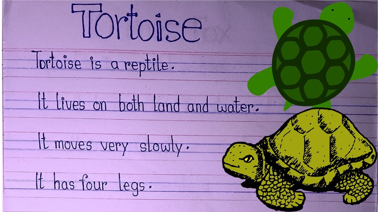 10 Lines On Tortoise In English | Turtles Revealed 10 Shocking Facts You Never Knew | Turtle essay