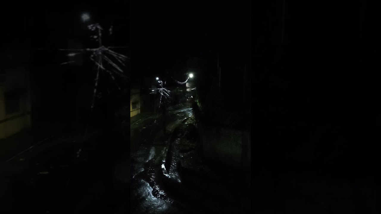 Amar Praner manus ache pran e@composed by Gurudev Rabindranath Tagore@flute cover