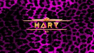 Hary - '90 (prod.Hary)